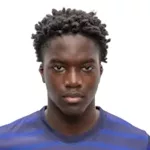 J. Ndiaye